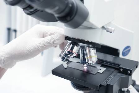 Importance of Microscope in our Daily Life