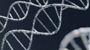 Interactive Digital DNA Structure Model