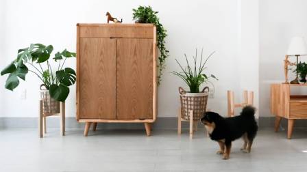 The Enduring Elegance of Timber: Why Wooden Cabinets Are the Heart of Every Home