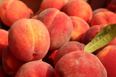 6 Science-Backed Health Benefits of Peaches: More Than Just a Sweet Stone Fruit