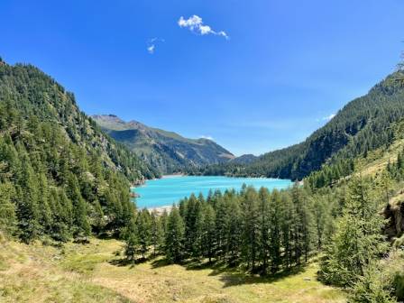 Lake Alpine: A Magical White Christmas in California’s Sierra Nevada