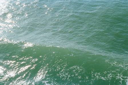 Sea Surface Topography